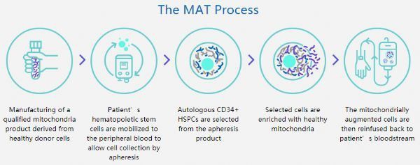 MAT
