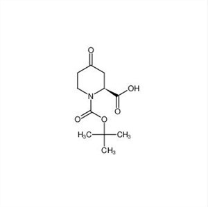 1-(tert-butoxycarbonyl)-4-ออกโซไพเพอร์ริดีน-2-คาร์บอกซิลิกกรด CAS 198646-60-5